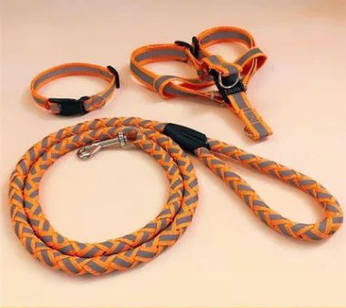Pet Pal Leash