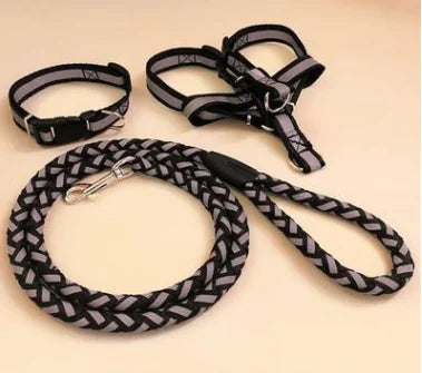 Pet Pal Leash