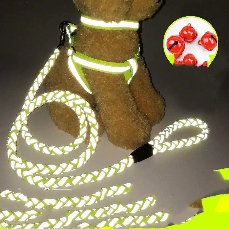 Pet Pal Leash