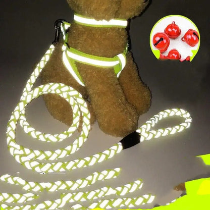 Pet Pal Leash