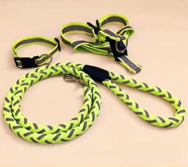 Pet Pal Leash